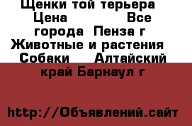 Щенки той терьера › Цена ­ 10 000 - Все города, Пенза г. Животные и растения » Собаки   . Алтайский край,Барнаул г.